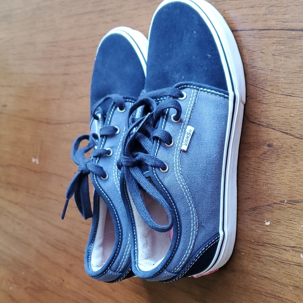 Vans Skateboard Pro sneakers